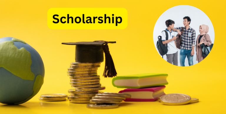 Most important facts and features of scholarship